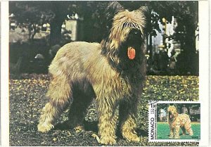 21472 - MONACO - MAXIMUM CARD: ANIMALS / DOGS1982-