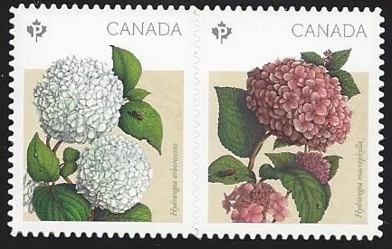 Canada #2900ii MNH se-tenant pair die cut, flowers hydrangeas, issued 2016