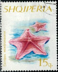 Bird's Foot Starfish, Albania stamp SC#934 used