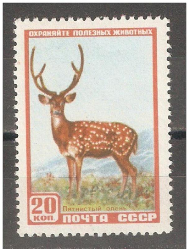 RUSSIA/USSR 1957,Axis Deer,Sc 1919,VF MNH**