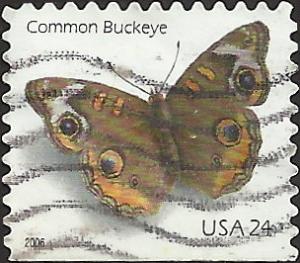 # 4001 USED COMMON BUCKEYE BUTTERFLY