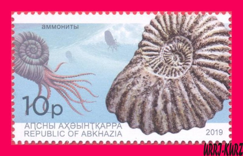 ABKHAZIA 2019 Fauna Marine Shell Fossil Extinct Cephalopod Ammonite Archaeology
