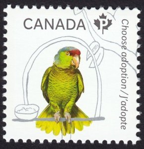 PARROT = stamp from Souvenir Sheet ADOPT A PET = MNH Canada 2013 # 2636b