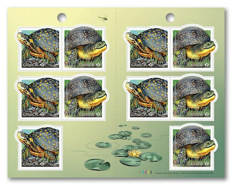 New! _ TURTLE = ENDANGERED species = Booklet of 10 stamps MNH-VF Canada 2019