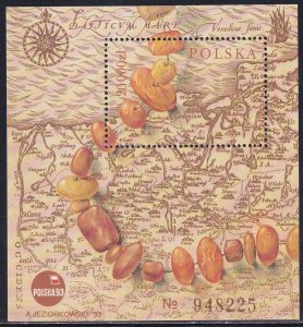 Poland 1993 Sc 3140 Gem Necklace Map Polska 93 Stamp SS MNH