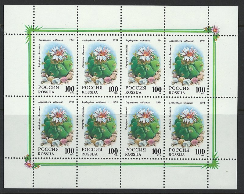 Russia Scott 6198a Mini Sheet! Flowers!