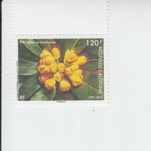 2015 New Caledonia Pittosporum tanianum Tree (Scott 1192) 
