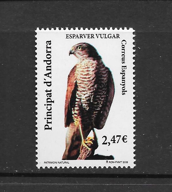 BIRDS - ANDORRA (SP) #352  SPARROW HAWK   MNH