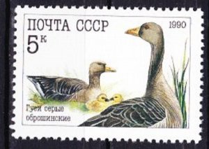 Russia 5909 Poultry MNH Single