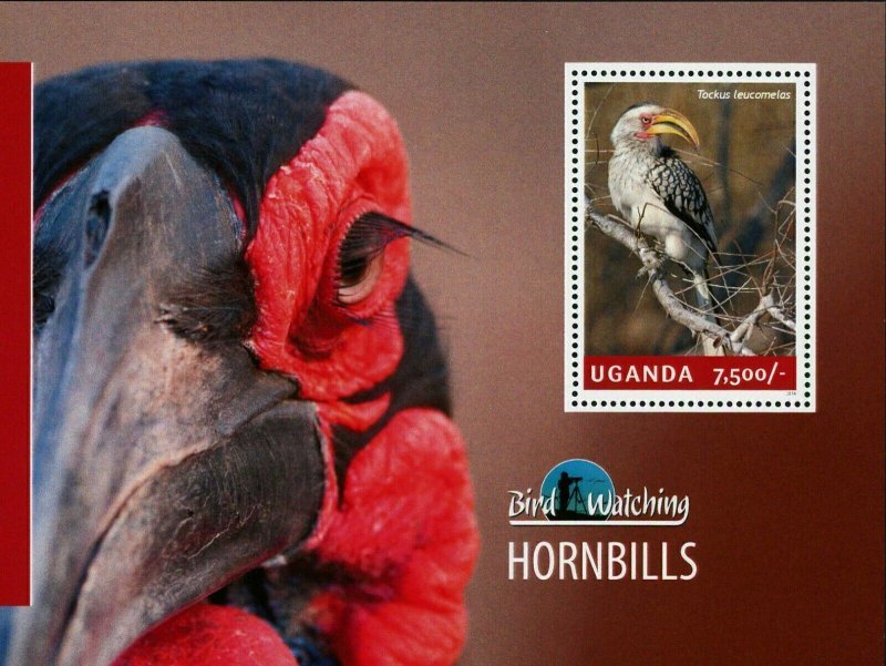 Hornbills Stamp Bird Tockus Leucomelas Souvenir Sheet MNH #3234 / Bl.453