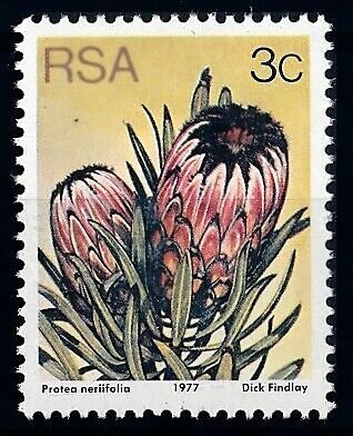[67156] South Africa 1979 Flora flowers blumen fleur Perf. 14 1/4 x 14 MNH