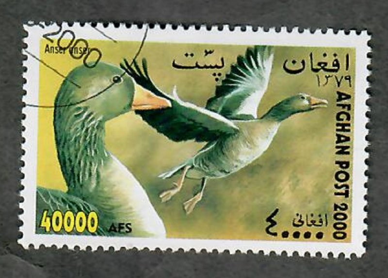 Afghanistan Birds CTO single from 2000