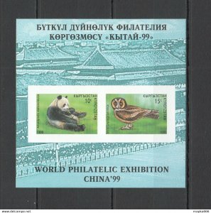 Imperforate 1999 Kyrgyzstan Fauna Birds Animals Owls Pandas 1Kb ** Nw0248