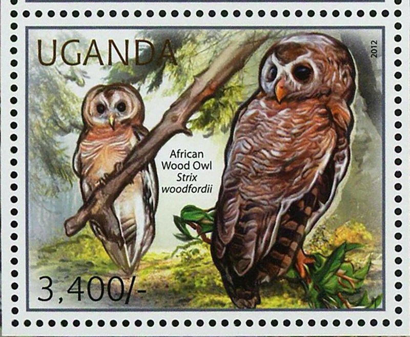 Owl Stamp Birds Pel's Fishing Cape Eagle Spotted African Wood S/S MNH #2795-2798