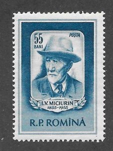 Romania Scott 1060 Unused HOG - 1955 Prof I V Michurin Issue - SCV $1.75