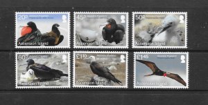 BIRDS -ASCENSION #1093-8  FRIGATE BIRD MNH