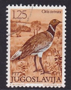 Yugoslavia   #1103  used 1972  birds 1.25d