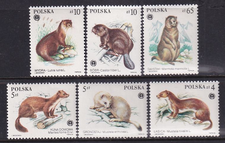 Poland 1984 Sc 2650-5 Protected Animals Fauna Stamp MNH