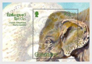 2010 Guernsey Asian Elephant SS  (Scott 1075) MNH