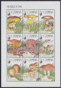 XG-AN819 GAMBIA IND - Mushrooms, 1994 Nature, Miniature MNH Sheet