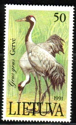 Crane, Grus Grus, Lithuania stamp SC#404 MNH