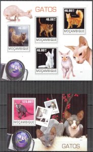 Mozambique 2014 Cats Sheet + S/S MNH