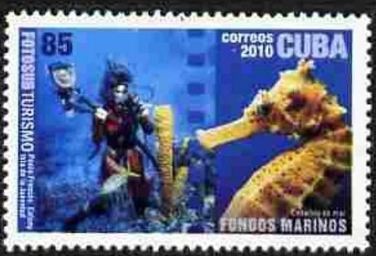 CUBA Sc# 5074 UNDERWATER PHOTOGRAPHY marine life 85c   2010 MNH