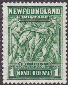 Newfoundland Scott 183 VF NH