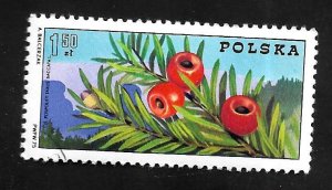 Poland 1975 - U - Scott #2092