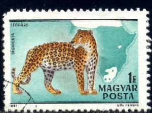 Wildcat, Leopard, Hungary SC#C427c used