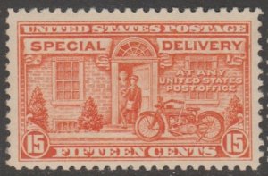 U.S. Scott #E13 Special Delivery Stamp - Mint NH Single