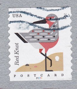 Used PNC1 35c Postcard Forever Coastal Birds P1111 US 4998