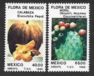 SE)1986 MEXICO, FROM THE FLORA DE MEXICO SERIES, PUMPKIN 40C SCT1434 AND NOPAL 6