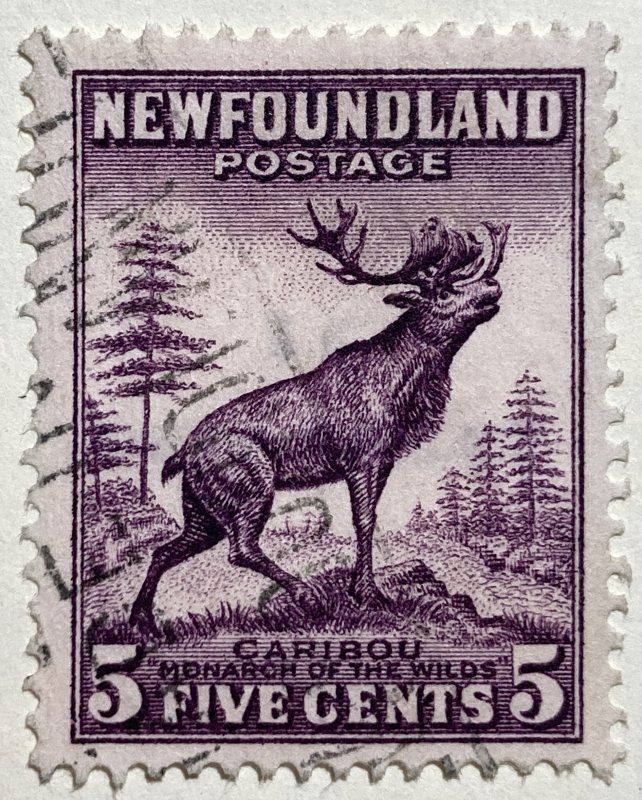 AlexStamps NEWFOUNDLAND #190 S Used