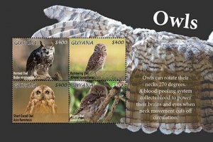 Guyana 2020 - Owls - Birds - Sheet of 4 Stamps - Scott #4638 - MNH