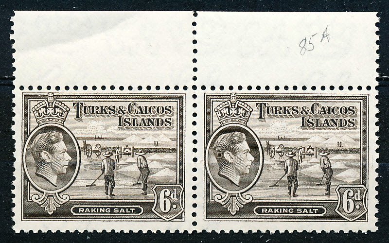 Turks & Caicos Islands #85A Horiz Pair MNH