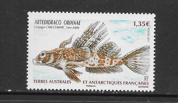 FISH - FRENCH SOUTHERN ANTARCTIC TERRITORIES #441  MNH