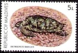 Hawksbill Turtle, Maldive Islands stamp SC#843 MNH