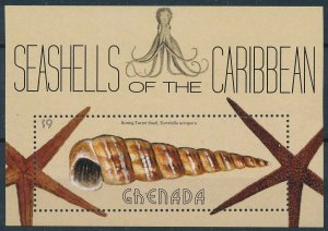 [109072] Grenada 2013 Marine life seashells snails Souvenir Sheet MNH