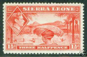 Sierra Leone Scott 175 1938 1.5p rose red stamp CV$15
