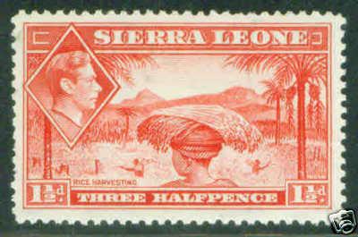 Sierra Leone Scott 175 1938 1.5p rose red stamp CV$15