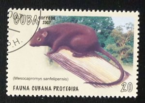 CUBA Sc# 4765   ENDANGERED MARINE LIFE - FISH Protected 20c    2007  used cto