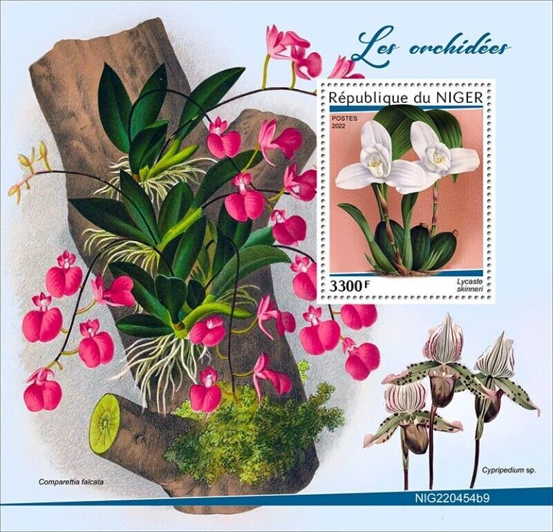 Niger - 2022 Orchids, Lycaste Skinneri - Stamp Souvenir Sheet - NIG220454b9