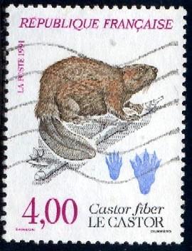 Eurasian Beaver, Castor Fiber, France stamp SC#2263 used