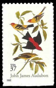 PCBstamps   US #3650 37c Scarlet & Louisiana Tanagers, MNH, (2)