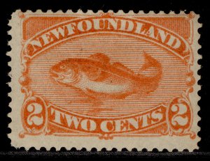 CANADA - Newfoundland QV SG51, 2c orange-vermilion, M MINT. Cat £27.