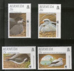 Bermuda 2001 WWF Cahow White-tailed Tropicbird Birds Wildlife Sc 798-801 MNH 284