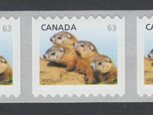 63c TRANSITION RATE = LG Coil = BABY WOODCHUCKS = Strip of 4 Canada 2013 #2692A