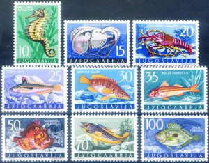 Yugoslavia. 1956 Marine Fauna.