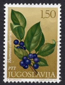 Yugoslavia   #1057  1971  used  flowers  1d.50  buckthorn